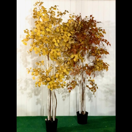 Autumn Trees 7 foot Tree Combination Birch and Aspen - Artificial Trees & Floor Plants - artificial Fall trees for rent